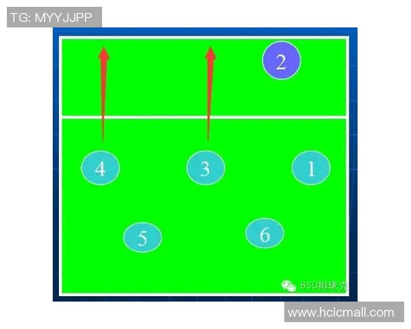 成都排球队区域防守策略解析与深度剖析排球战术的奥秘