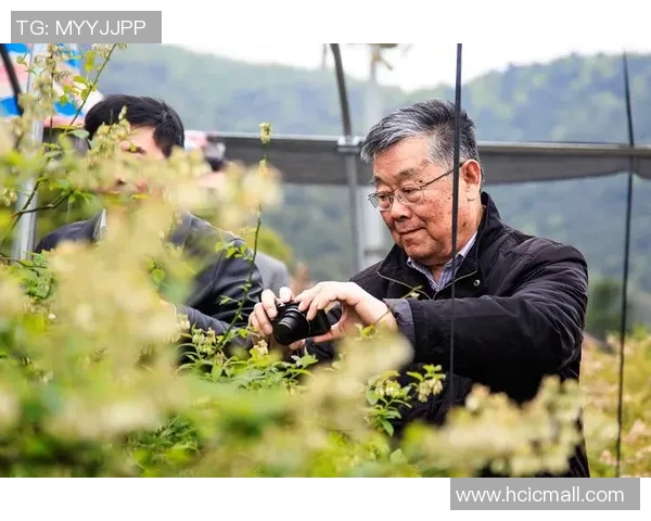 深圳羽毛球队的逆袭之旅：从默默无闻到全国强队的奋斗纪实