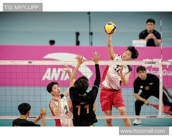 重庆排球队实力深度剖析与对比探讨全景分析